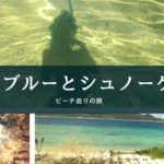 ビーチの巡りの旅｜奄美ブルーとシュノーケル【奄美大島】