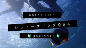GoProユーザーが知っておきたい｜シュノーケリングのQ&A【初心者】